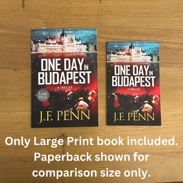 One Day in Budapest, ARKANE Thriller #4 (Large Print)